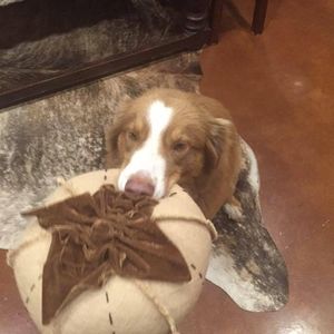 Meet your Posher, Jackie